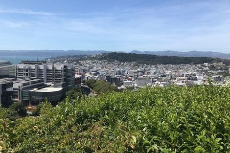 Photo of property in 102 Kelburn Parade, Kelburn, Wellington, 6012