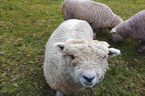 Photo of property in 131 Pairatahi Road, Kaingaroa, Kaitaia, 0483