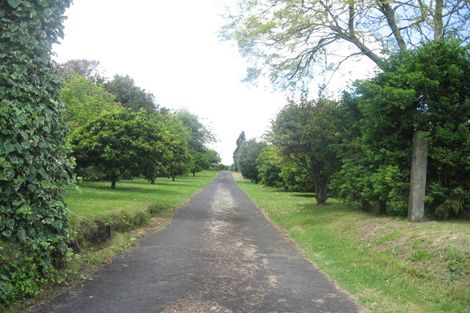 Photo of property in 51 Wairoa Road, Minden, Tauranga, 3171