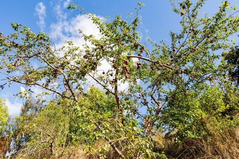 Photo of property in 7 Howorth Road, Fairfield, Dunedin, 9018