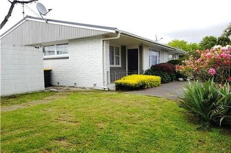 Photo of property in Capel Courts, 8/141a Clarence Street, Riccarton, Christchurch, 8011