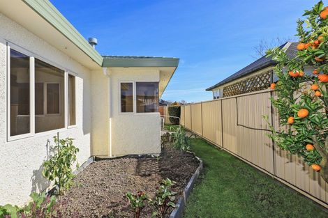 Photo of property in 1c Avondale Road, Taradale, Napier, 4112