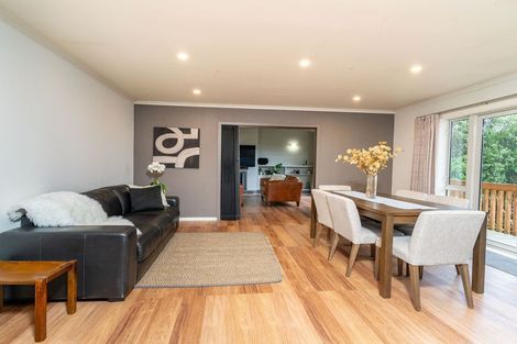 Photo of property in 45 Leven Street, Roslyn, Dunedin, 9010