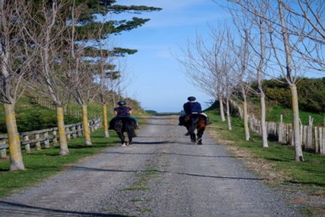 Photo of property in Raumai Road, Bulls, 4894