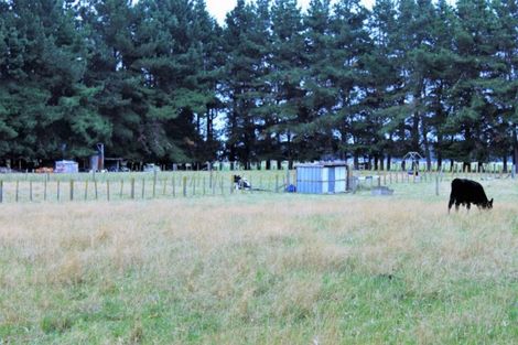 Photo of property in 12 Totaramahonga Road, Dannevirke, 4972