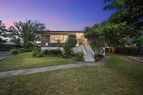 Photo of property in 6 Youngs Road, Papakura, 2110