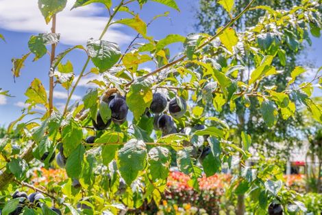 Photo of property in 112a Mount Herbert Road, Waipukurau, 4200