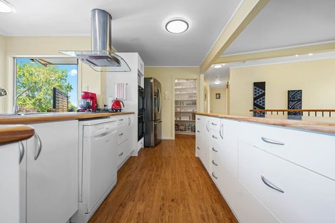 Photo of property in 20 Maple Avenue, Dinsdale, Hamilton, 3204