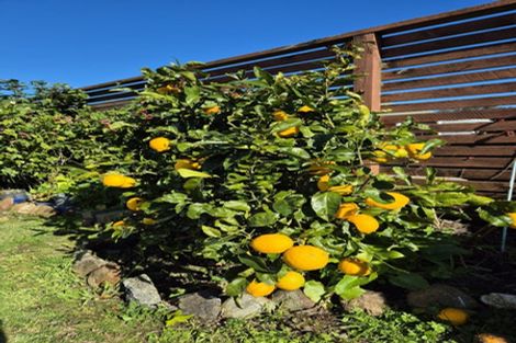 Photo of property in 4 Courthouse Lane, Coromandel, 3506