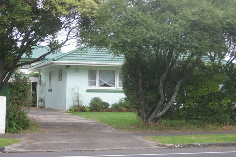 Photo of property in 271 Mount Albert Road, Wesley, Auckland, 1041