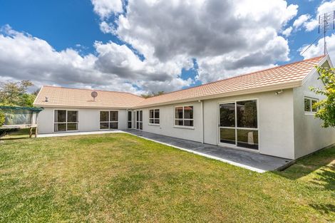 Photo of property in 121 Endeavour Avenue, Flagstaff, Hamilton, 3210