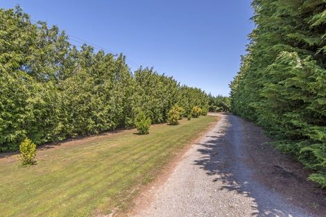 Photo of property in 215 Harmans Road, Leeston, 7682