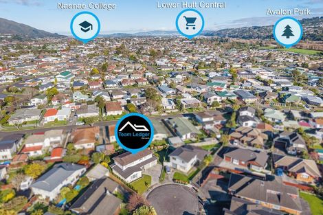 Photo of property in 17 De Menech Grove, Avalon, Lower Hutt, 5011