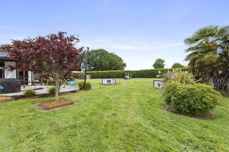 Photo of property in 399 Bruntwood Road, Tamahere, Hamilton, 3493