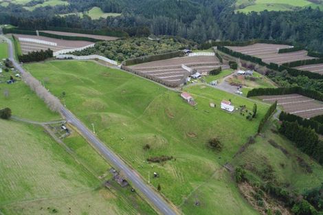 Photo of property in 716 Maungarangi Road, Paengaroa, Te Puke, 3189