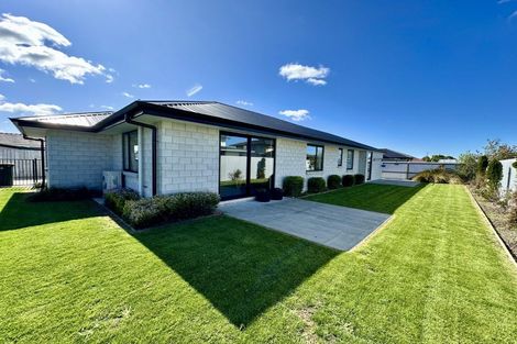 Photo of property in 36b Eton Street, Hampstead, Ashburton, 7700