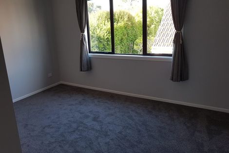 Photo of property in 247b Campbell Road, Greenlane, Auckland, 1061