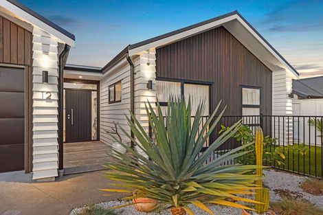 Photo of property in 12 Mida Close, Papamoa Beach, Papamoa, 3118