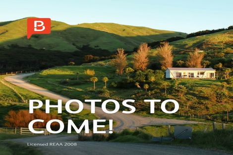 Photo of property in 370 Nelsen Ridge Road, Waikerikeri, Alexandra, 9393