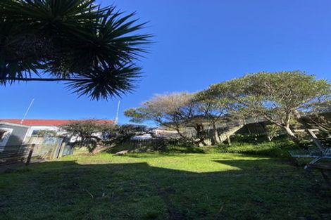 Photo of property in 11 Salisbury Terrace, Mount Cook, Wellington, 6021