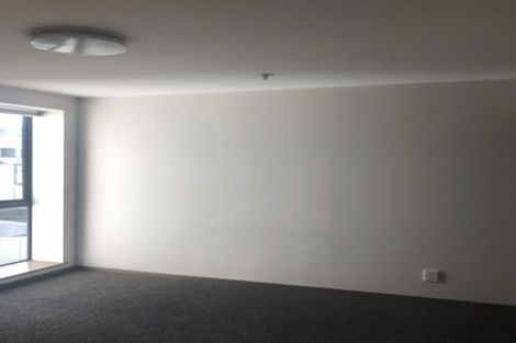 Photo of property in Dual Apartments, 301/142 Vivian Street, Te Aro, Wellington, 6011