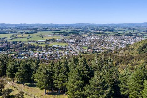 Photo of property in 91 Boar Bush Gully Road, Featherston, 5710