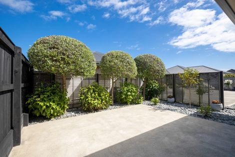 Photo of property in 8 Holly Way, Tahunanui, Nelson, 7011