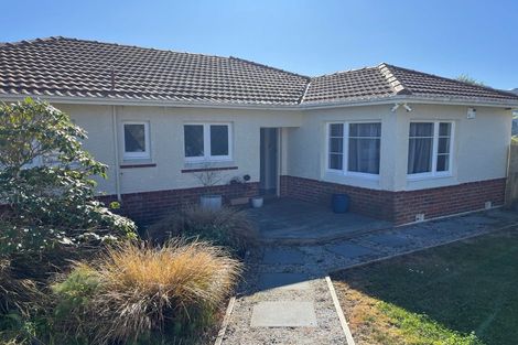 Photo of property in 175 Signal Hill Road, Opoho, Dunedin, 9010