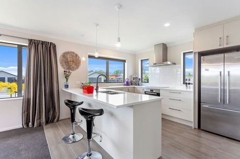 Photo of property in 22 Russ Drive, Lincoln, 7608