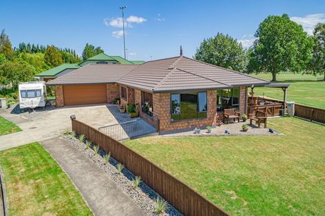 Photo of property in 16 Kauri Place, Pahiatua, 4910
