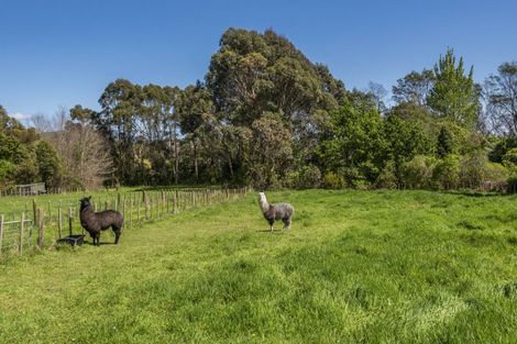 Photo of property in 15 Hadfield Road, Peka Peka, 5391