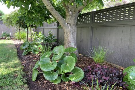 Photo of property in 31 Dale Road, Raumati South, Paraparaumu, 5032