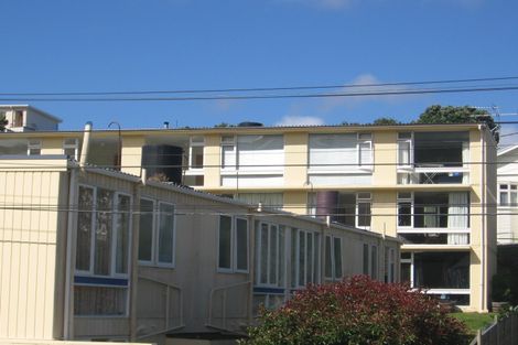 Photo of property in 163 Ohiro Road, Brooklyn, Wellington, 6021