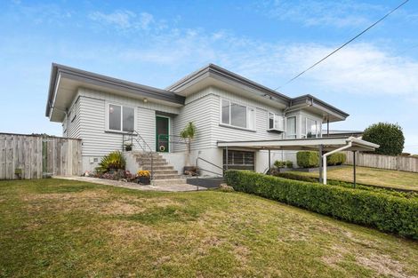 Photo of property in 14 Terrace Street, Putaruru, 3411