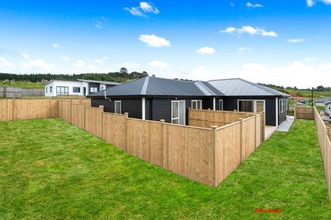 Photo of property in 17 Minerva Avenue, Helensville, 0800