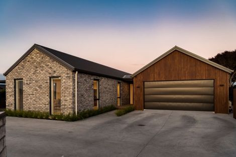 Photo of property in 172 Stewart Road, Feilding, 4479