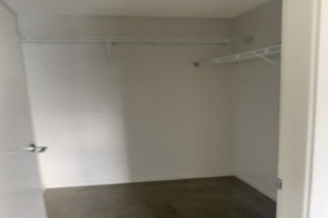 Photo of property in 24 The Drive, Brookfield, Tauranga, 3110