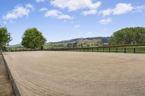 Photo of property in 54 Cowan Road, Rotoorangi, Te Awamutu, 3879