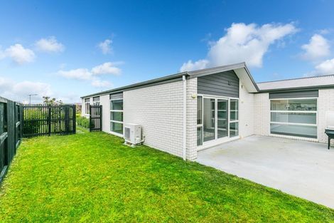 Photo of property in 47 Probert Crescent, Chartwell, Hamilton, 3210