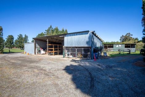 Photo of property in 56 Alpineview View, West Melton, Christchurch, 7675