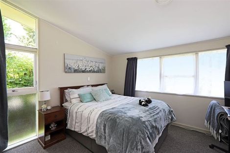 Photo of property in 405a Burnett Street, Mahora, Hastings, 4120