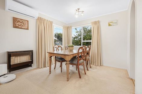Photo of property in 49 Rimu Street, Maeroa, Hamilton, 3200