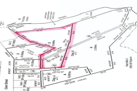 Photo of property in 23 Clean Street, Te Kopuru, 0391