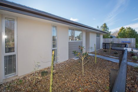 Photo of property in 13 Cross Street, Phillipstown, Christchurch, 8011