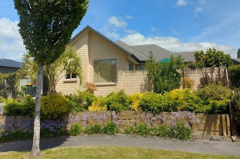 Photo of property in 19 Dunsford Close, Halswell, Christchurch, 8025