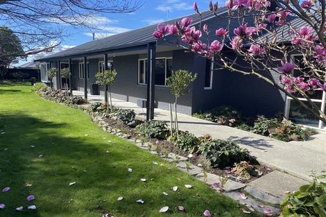 Photo of property in 29 Edward Street, Lincoln, 7608