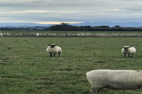 Photo of property in 83 Shamrock Street, Takaro, Palmerston North, 4412