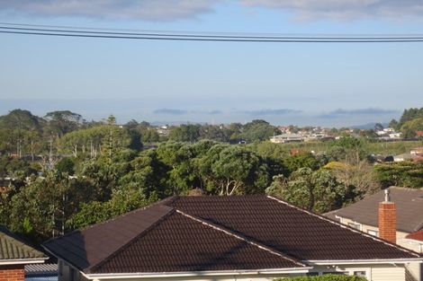 Photo of property in 456 Mount Albert Road, Mount Roskill, Auckland, 1041