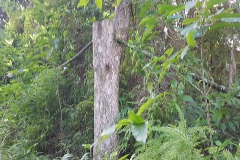 Photo of property in 19 Green Road, Matakana, 0985