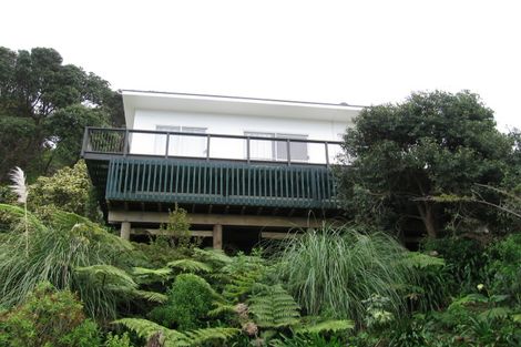 Photo of property in 19 Tutaritari Road, Hahei, Whitianga, 3591